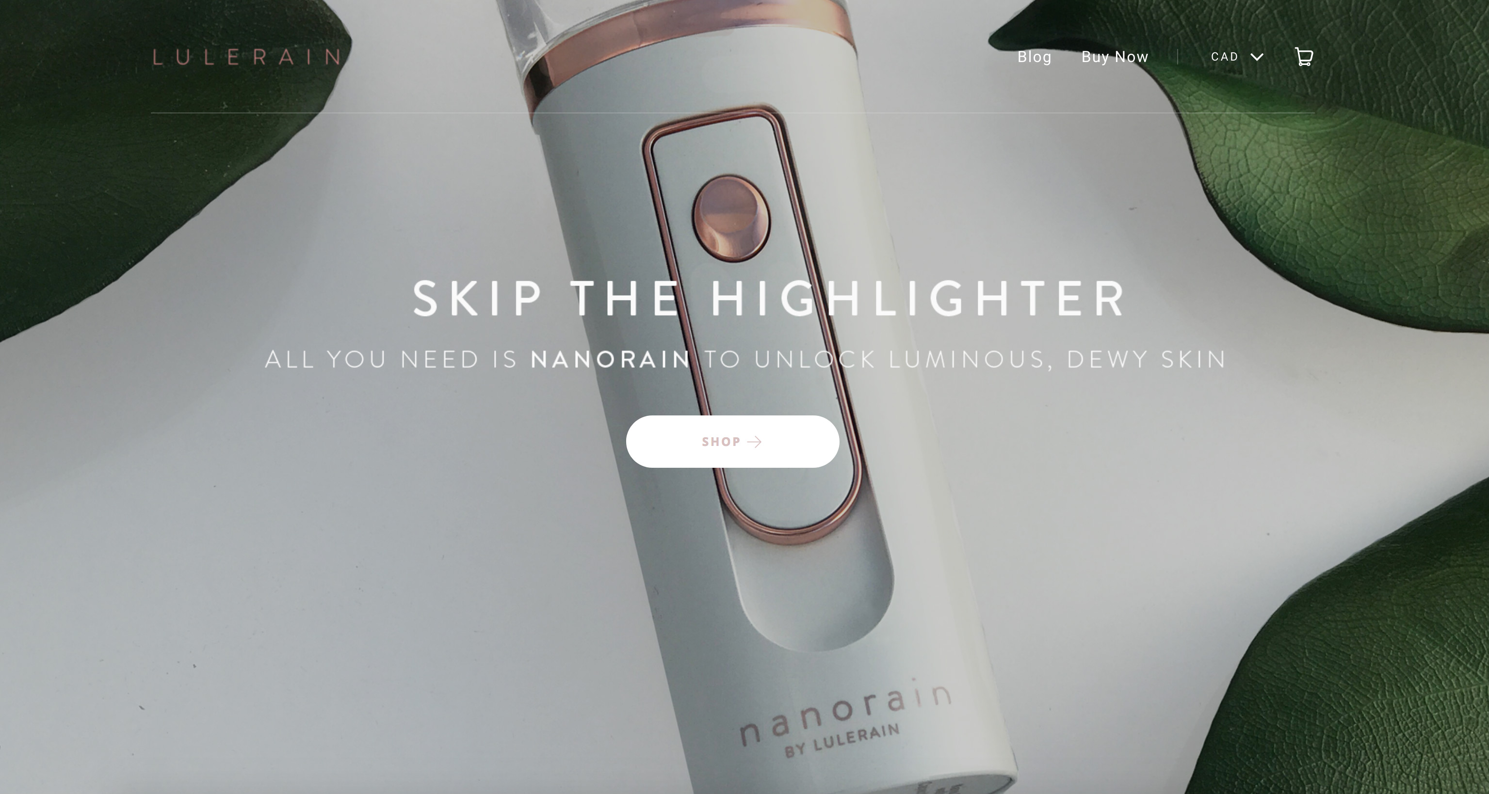 lulerain-hilborn-digital-website-design