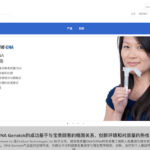 Chinese Website Development Project